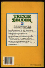 The Mystery of the Castaway Children square back cover